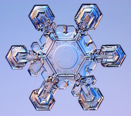 snowflake.jpg